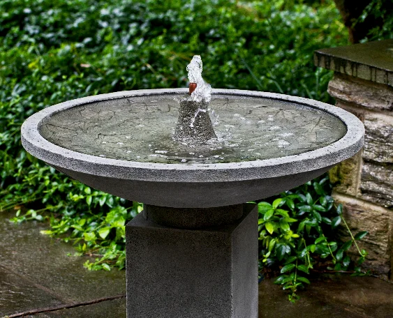 birdsallgarden925724