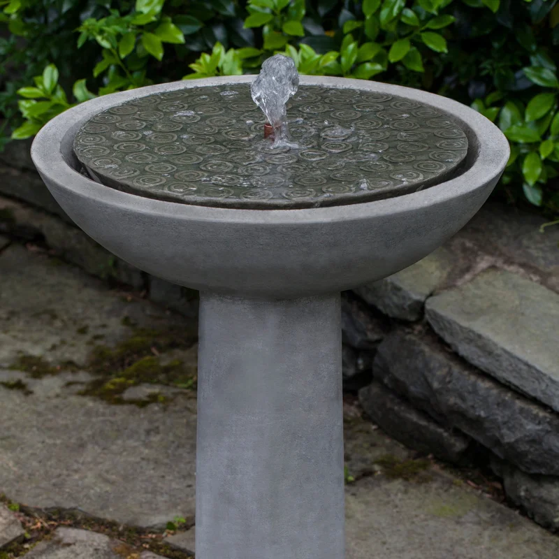 birdsallgarden926738