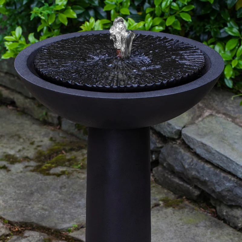 birdsallgarden927275
