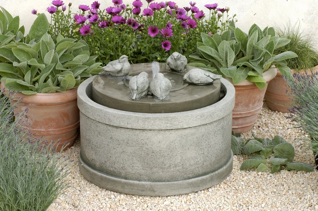 birdsallgarden928668