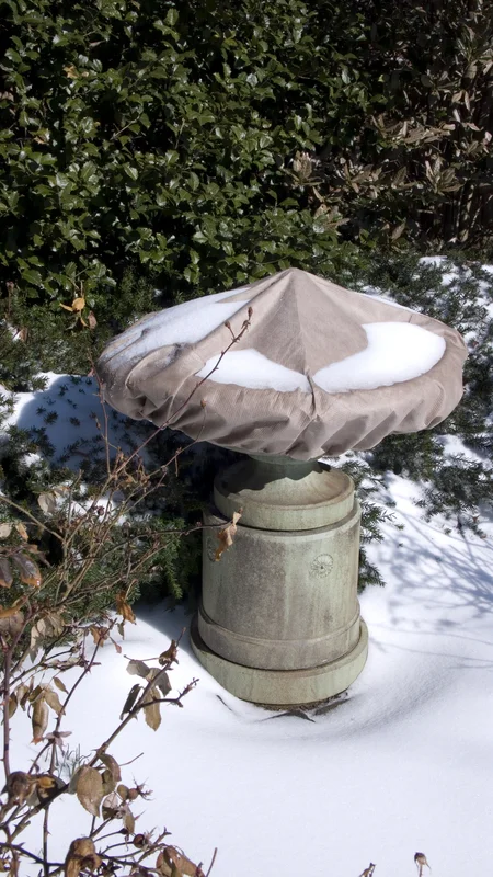 birdsallgarden930264