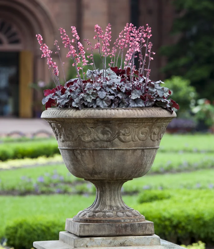 birdsallgarden931695