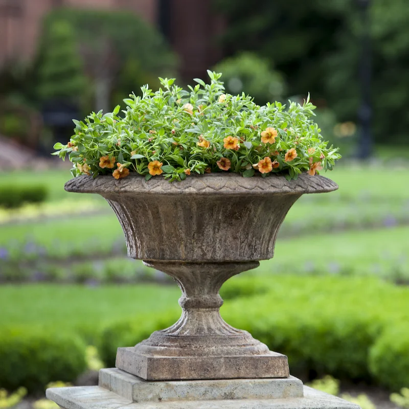 birdsallgarden931744