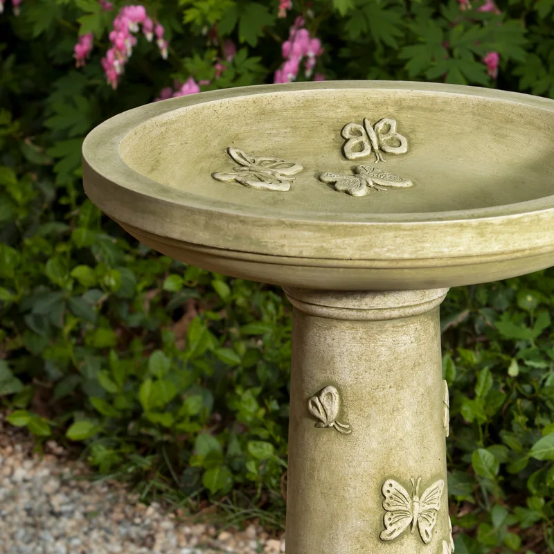 birdsallgarden932238