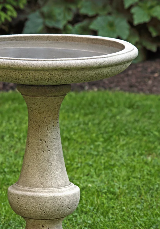 birdsallgarden932682