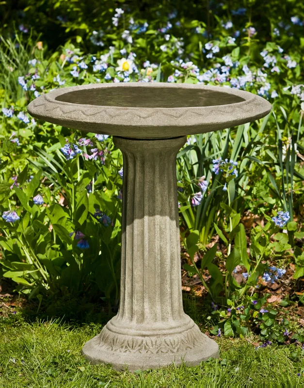 birdsallgarden933107