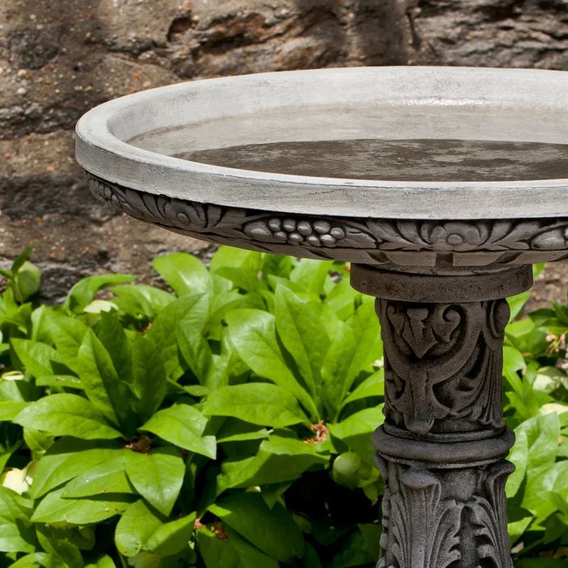 birdsallgarden934597