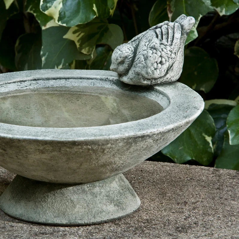 birdsallgarden935119