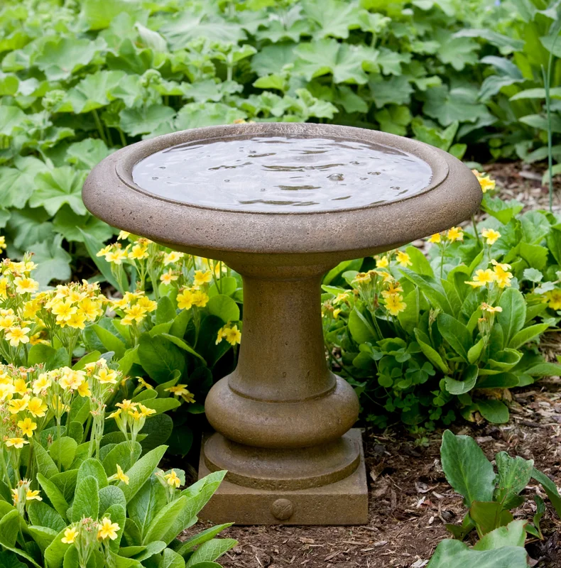 birdsallgarden935361