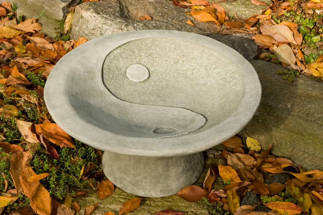 birdsallgarden935434