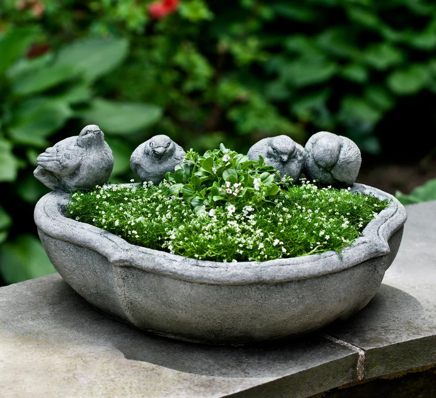 birdsallgarden935497