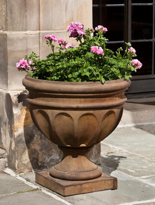 birdsallgarden935634