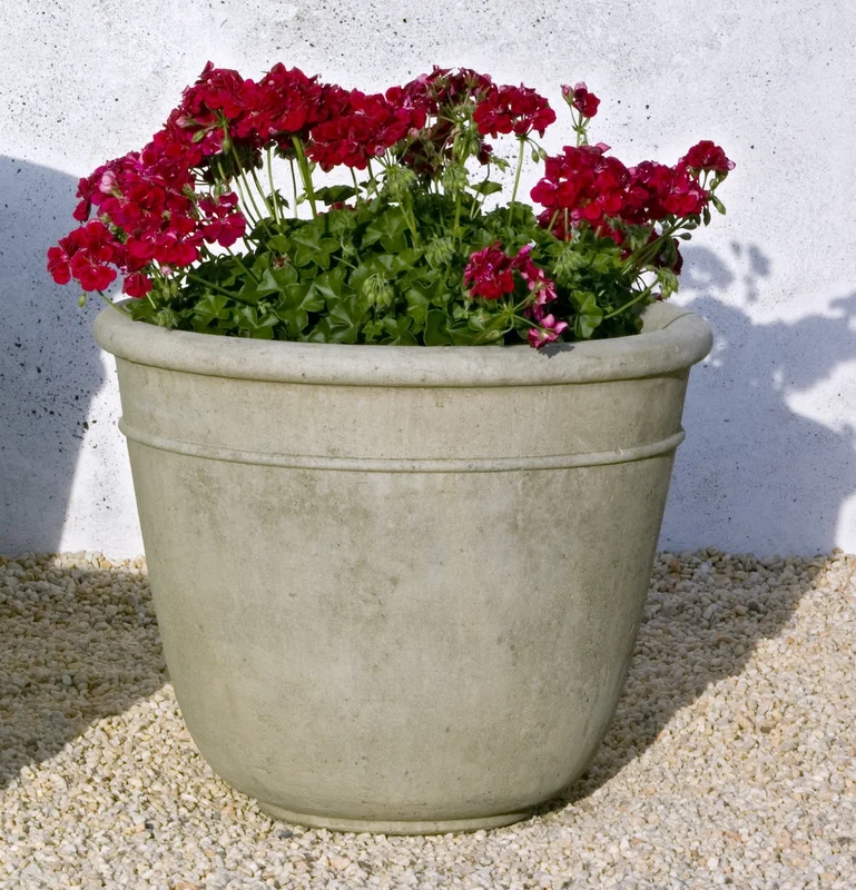 birdsallgarden935854