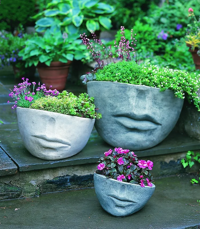 birdsallgarden936322