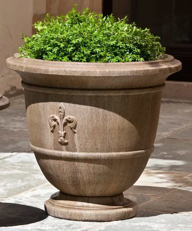 birdsallgarden936430
