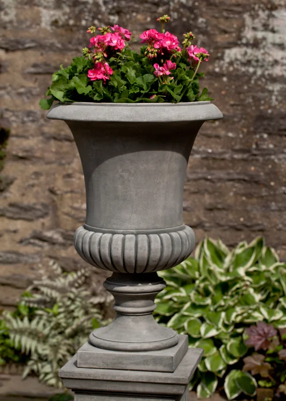 birdsallgarden936656