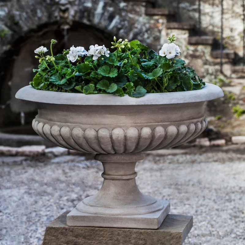 birdsallgarden936721