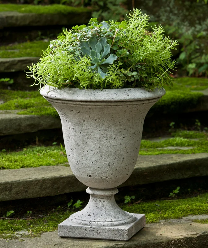 birdsallgarden936809