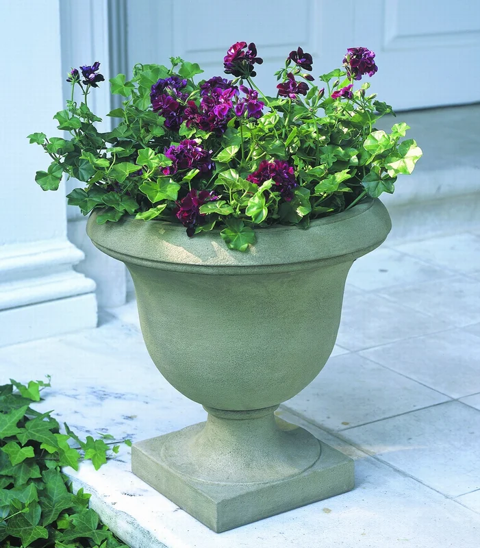 birdsallgarden936911