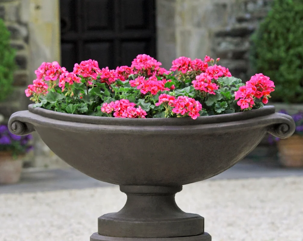 birdsallgarden937140