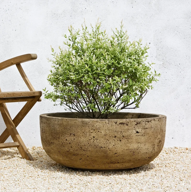birdsallgarden937328
