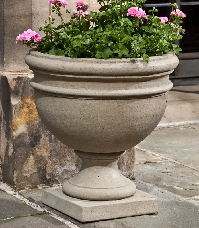 birdsallgarden937519