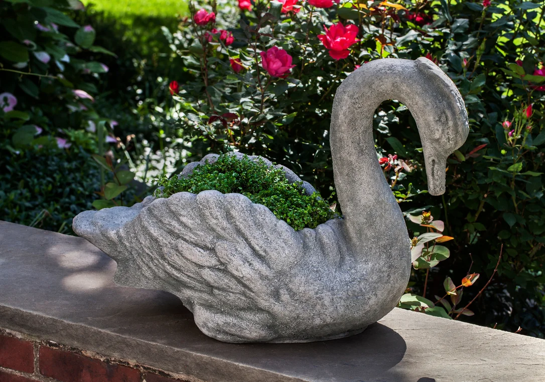 birdsallgarden937871