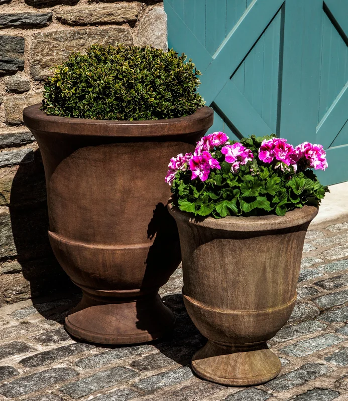 birdsallgarden938402