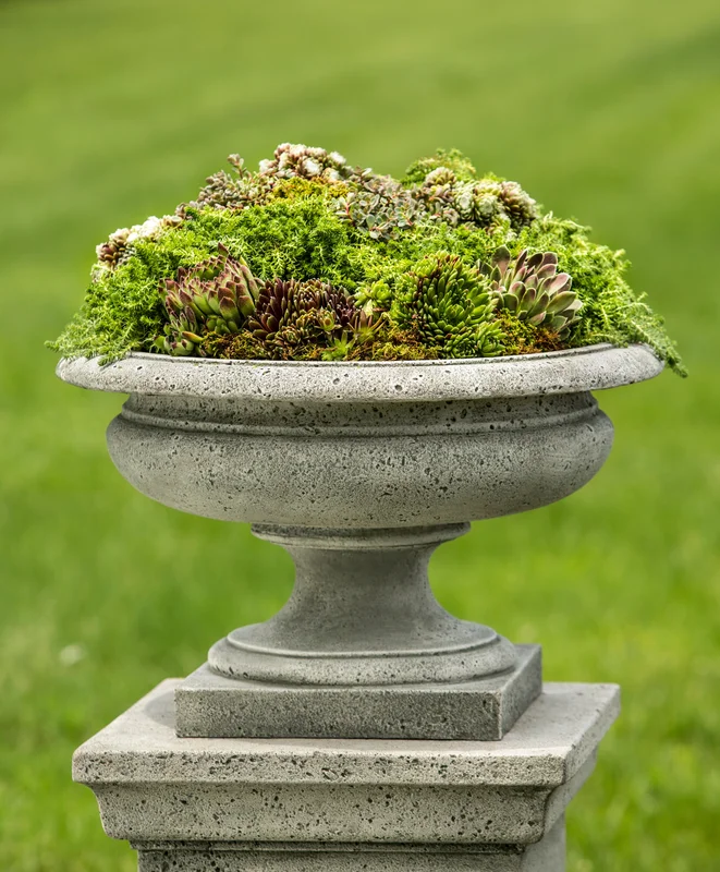 birdsallgarden938879