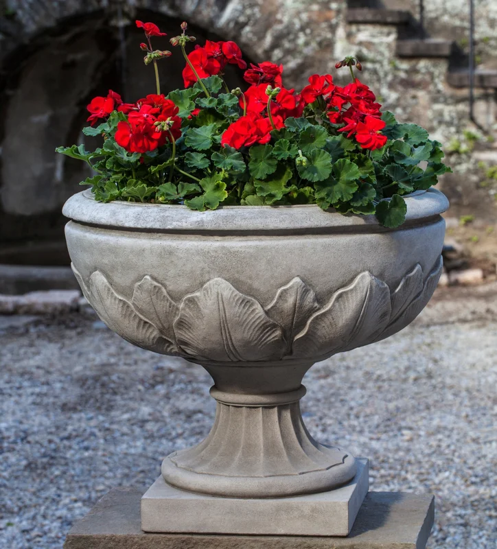birdsallgarden939556