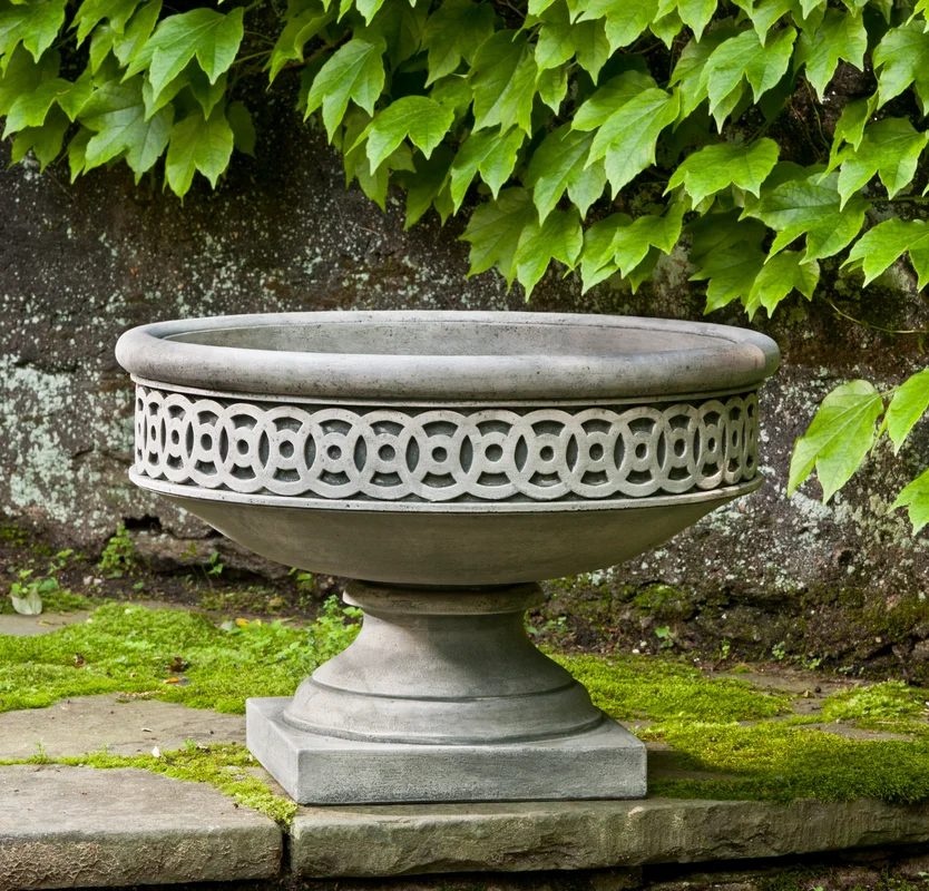 birdsallgarden940543