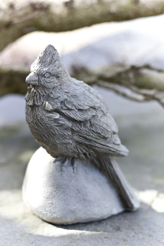 birdsallgarden942807
