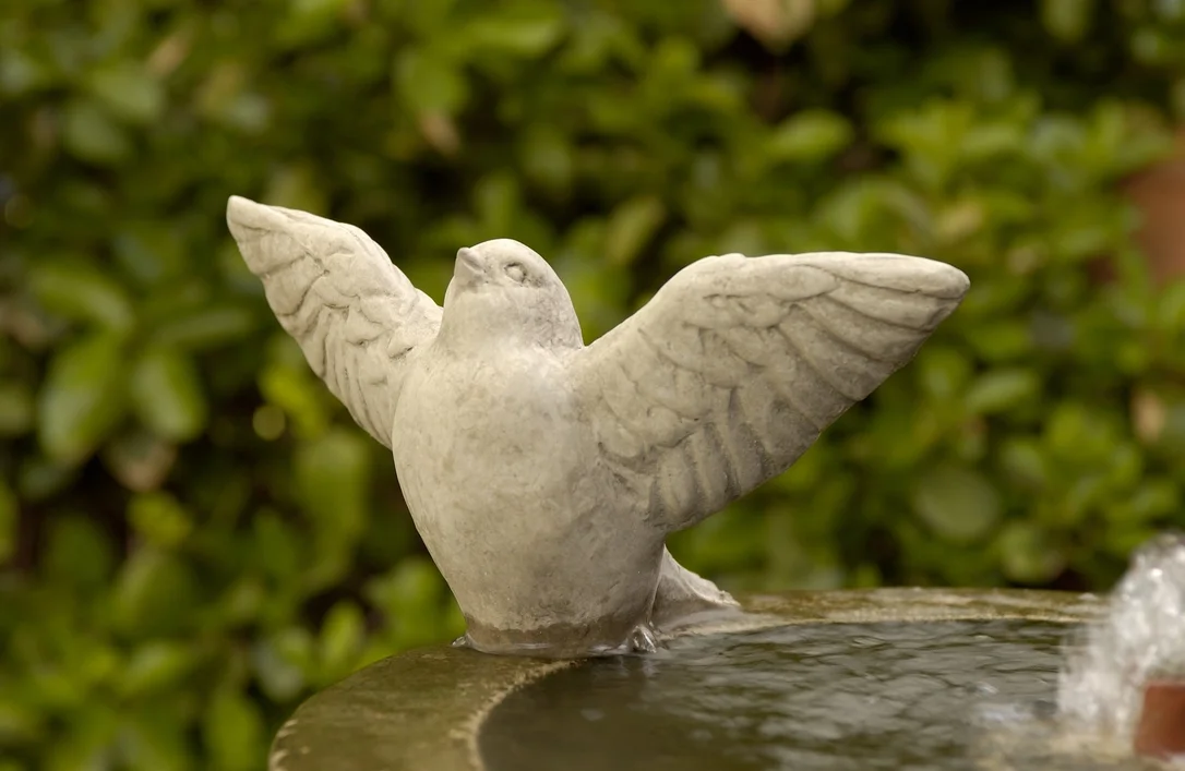 birdsallgarden943488