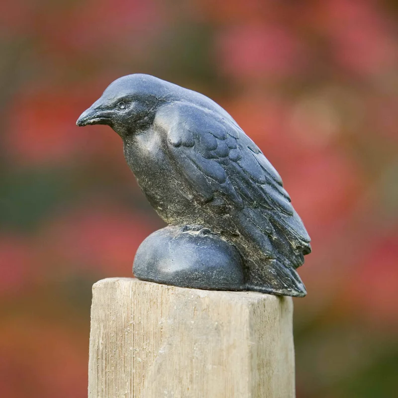 birdsallgarden947529