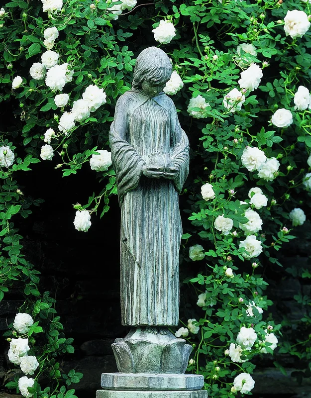 birdsallgarden948464