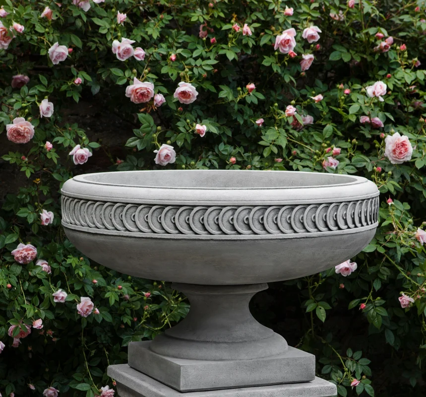 birdsallgarden952988