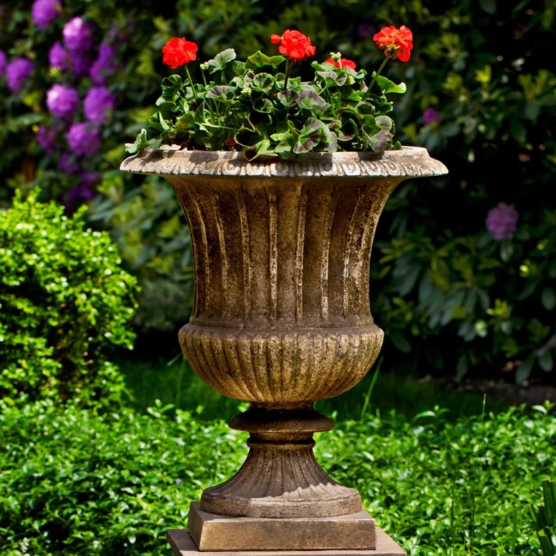 birdsallgarden953825