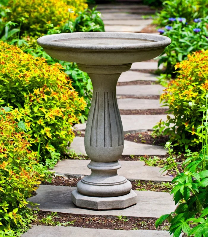 birdsallgarden954079