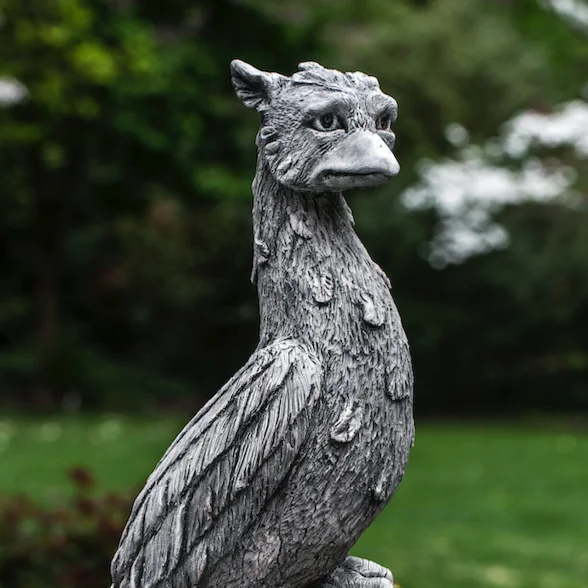 birdsallgarden957641
