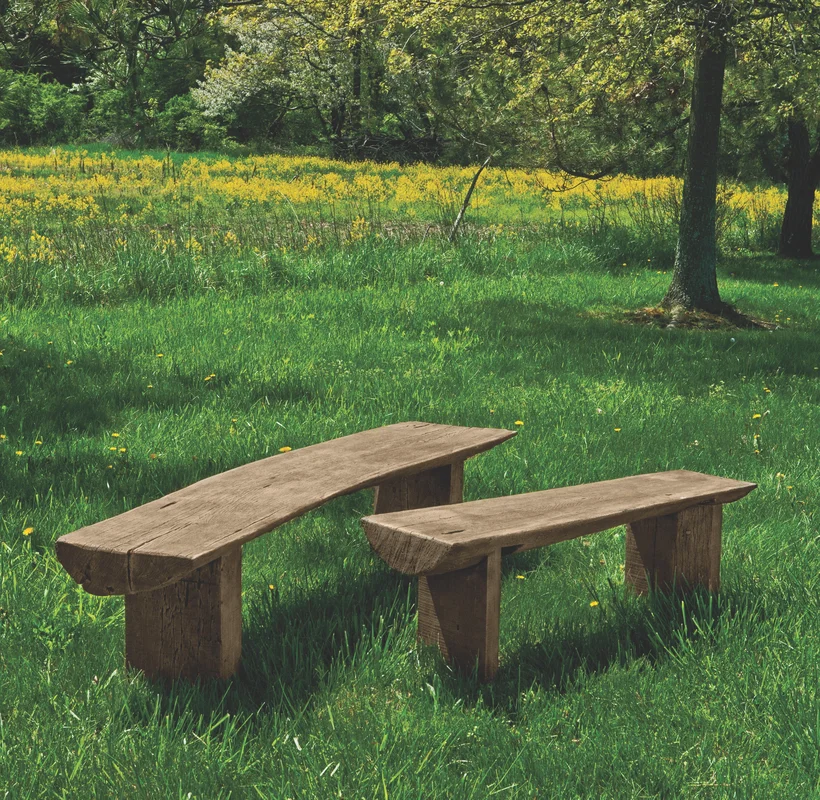 birdsallgarden960014