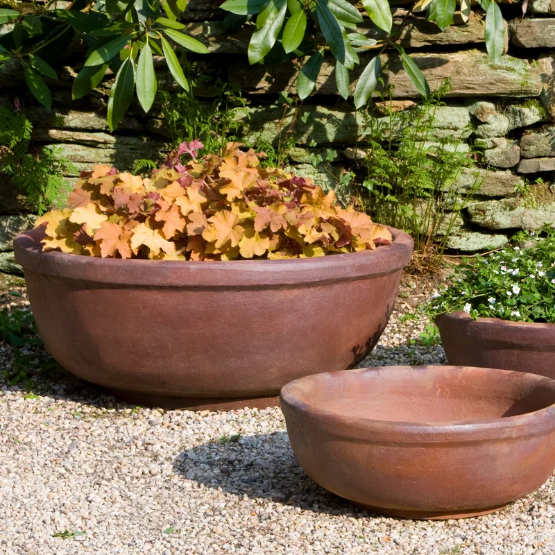 birdsallgarden961765