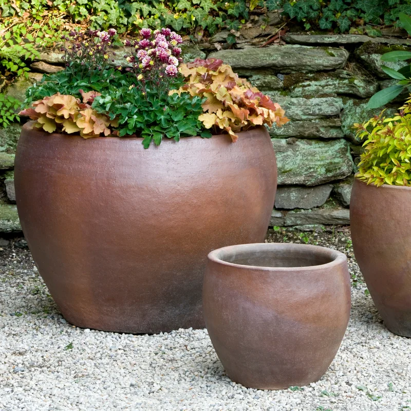 birdsallgarden962299