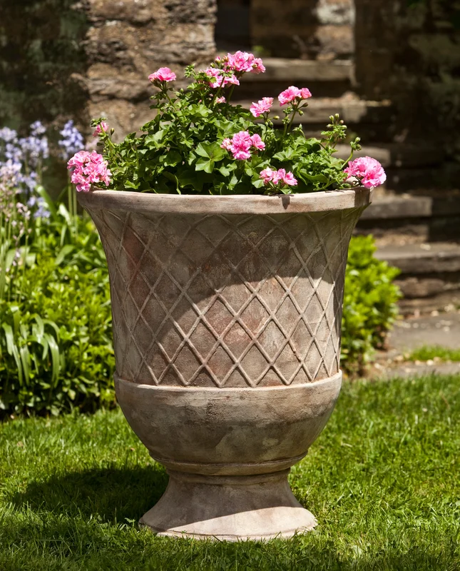 birdsallgarden962874