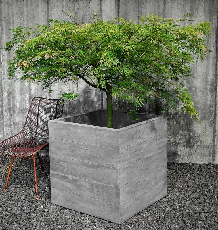 birdsallgarden963964