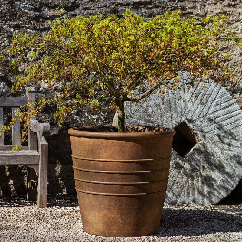 birdsallgarden964571