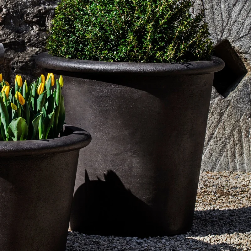 birdsallgarden964613