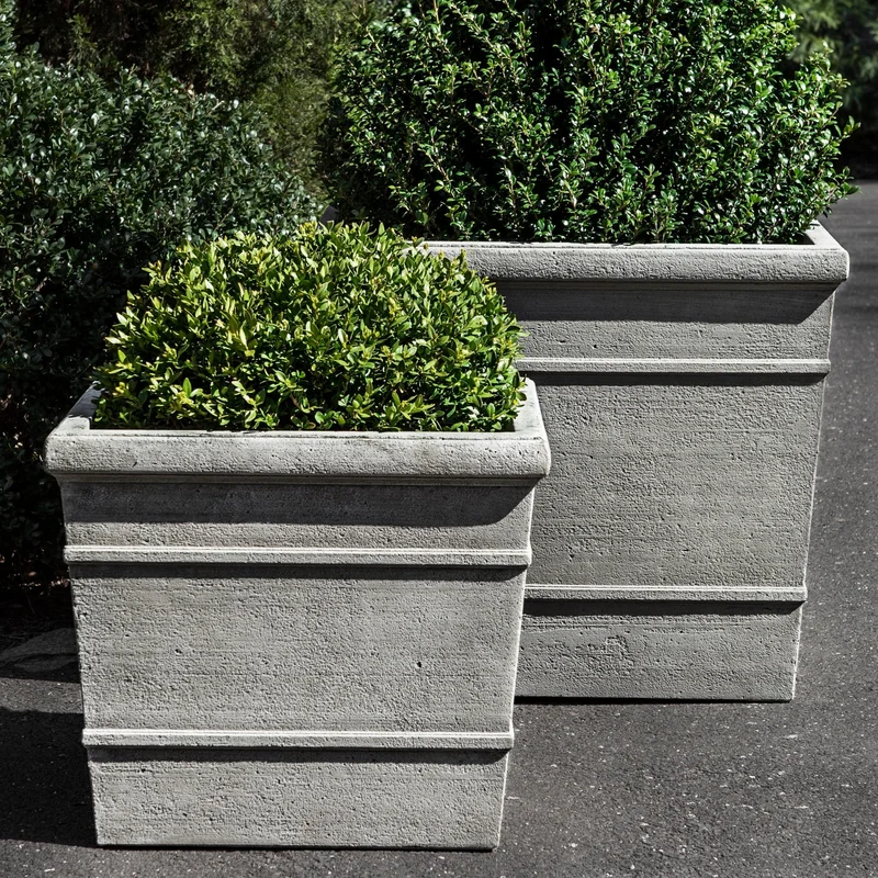 birdsallgarden964669