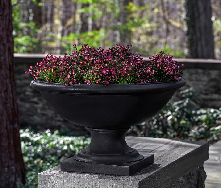 birdsallgarden964837