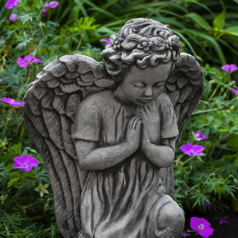 birdsallgarden966297