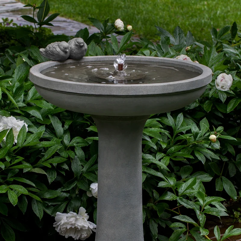 birdsallgarden967861